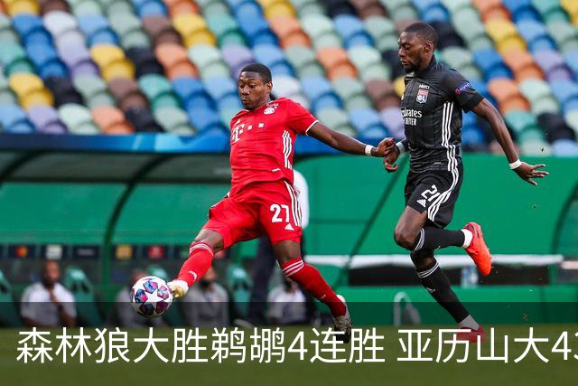 森林狼大胜鹈鹕4连胜 亚历山大43分雷霆克骑士